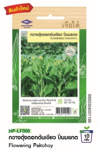 กวางตุ้งดอกต้นเขียวปิ่นมรกตF1เจียไต๋*100